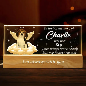 Photo personnalisée « Vos ailes étaient prêtes » – Lettres acryliques personnalisées commémoratives, veilleuse LED 3D – Cadeau de condoléances pour les propriétaires et les amoureux des animaux