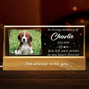 Photo personnalisée que vous avez laissée dans mon cœur pour toujours - Lettres acryliques personnalisées 3D LED veilleuse - Cadeau de condoléances pour les propriétaires d'animaux et les amoureux des animaux