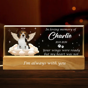Photo personnalisée « Vos ailes étaient prêtes » – Lettres acryliques personnalisées commémoratives, veilleuse LED 3D – Cadeau de condoléances pour les propriétaires et les amoureux des animaux