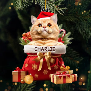 Photo personnalisée « L'amour de mon animal est le meilleur cadeau de Noël » - Décoration personnalisée pour chien et chat - Forme personnalisée en acrylique - Cadeau de Noël pour les propriétaires et les amoureux des animaux