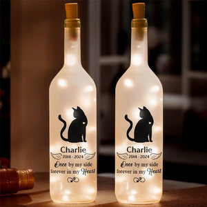 BL-TV0507_thumb-1