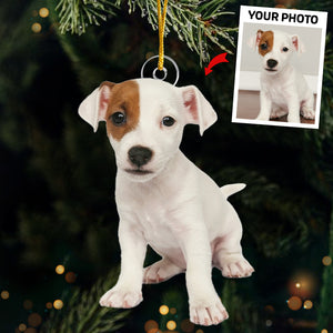 Photo personnalisée de carlins et de bisous pour Noël - Décoration personnalisée pour chien et chat - Acrylique en forme personnalisée - Cadeau de Noël pour propriétaires et amoureux des animaux