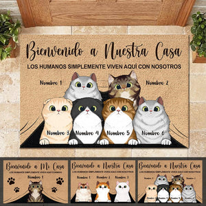 Bienvenido A Mi Casa Spanish - Funny Personalized Cat Decorative Mat (WT).