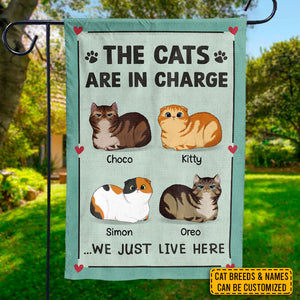 Les chats sont aux commandes ici - Drapeau personnalisé pour chat - Cadeau pour les amoureux des animaux, les propriétaires d'animaux