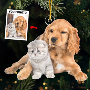Photo personnalisée de carlins et de bisous pour Noël - Décoration personnalisée pour chien et chat - Acrylique en forme personnalisée - Cadeau de Noël pour propriétaires et amoureux des animaux