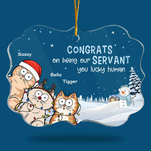 Félicitations pour votre service ! Ornement personnalisé en forme de chat en acrylique, forme Benelux. Cadeau de Noël pour les propriétaires et les amoureux des animaux.