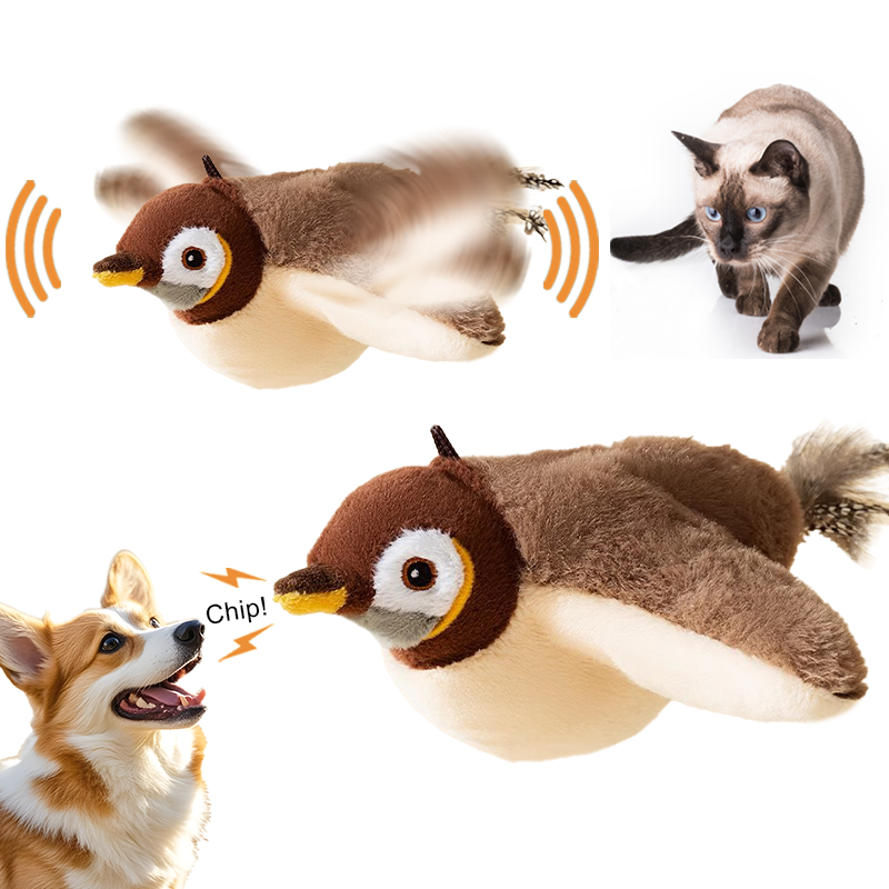 Oiseau interactif