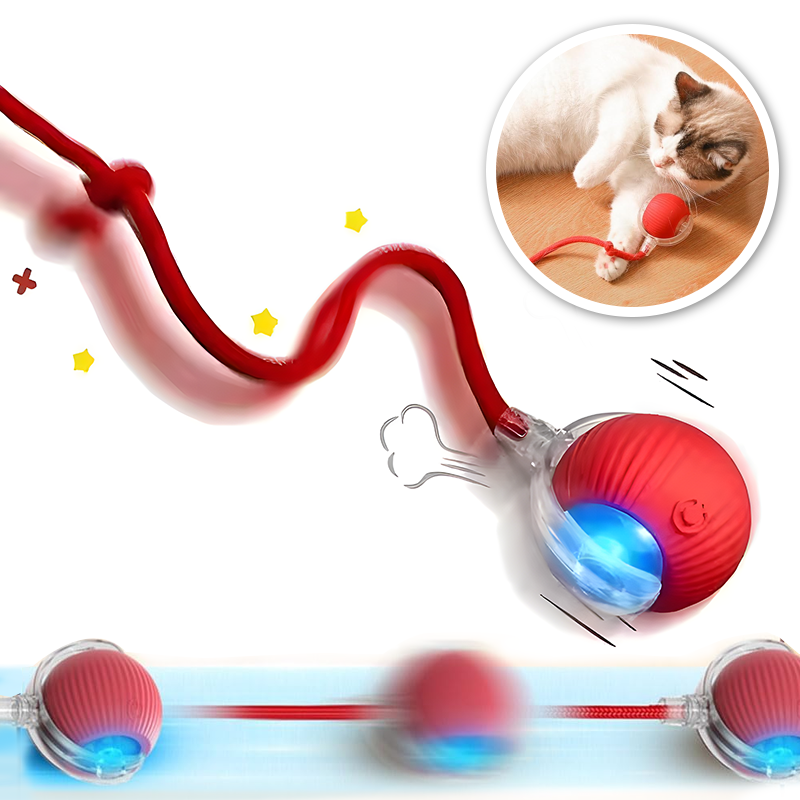 Jouet de balle interactif