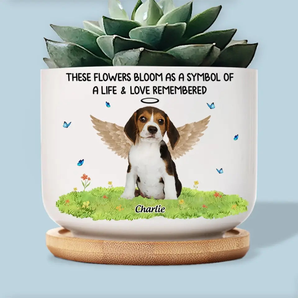 Photo personnalisée « Ne pleurez pas parce que c'est fini, souriez parce que c'est arrivé » - Pot de fleurs en céramique personnalisé pour décoration d'intérieur - Cadeau de condoléances pour les propriétaires d'animaux et les amoureux des animaux