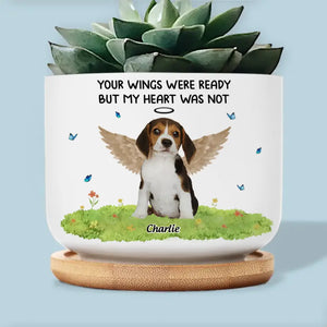 Photo personnalisée « Ne pleurez pas parce que c'est fini, souriez parce que c'est arrivé » - Pot de fleurs en céramique personnalisé pour décoration d'intérieur - Cadeau de condoléances pour les propriétaires d'animaux et les amoureux des animaux