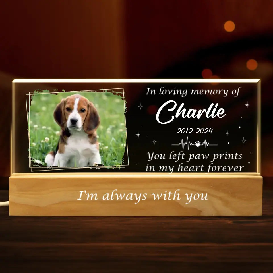 Photo personnalisée que vous avez laissée dans mon cœur pour toujours - Lettres acryliques personnalisées 3D LED veilleuse - Cadeau de condoléances pour les propriétaires d'animaux et les amoureux des animaux