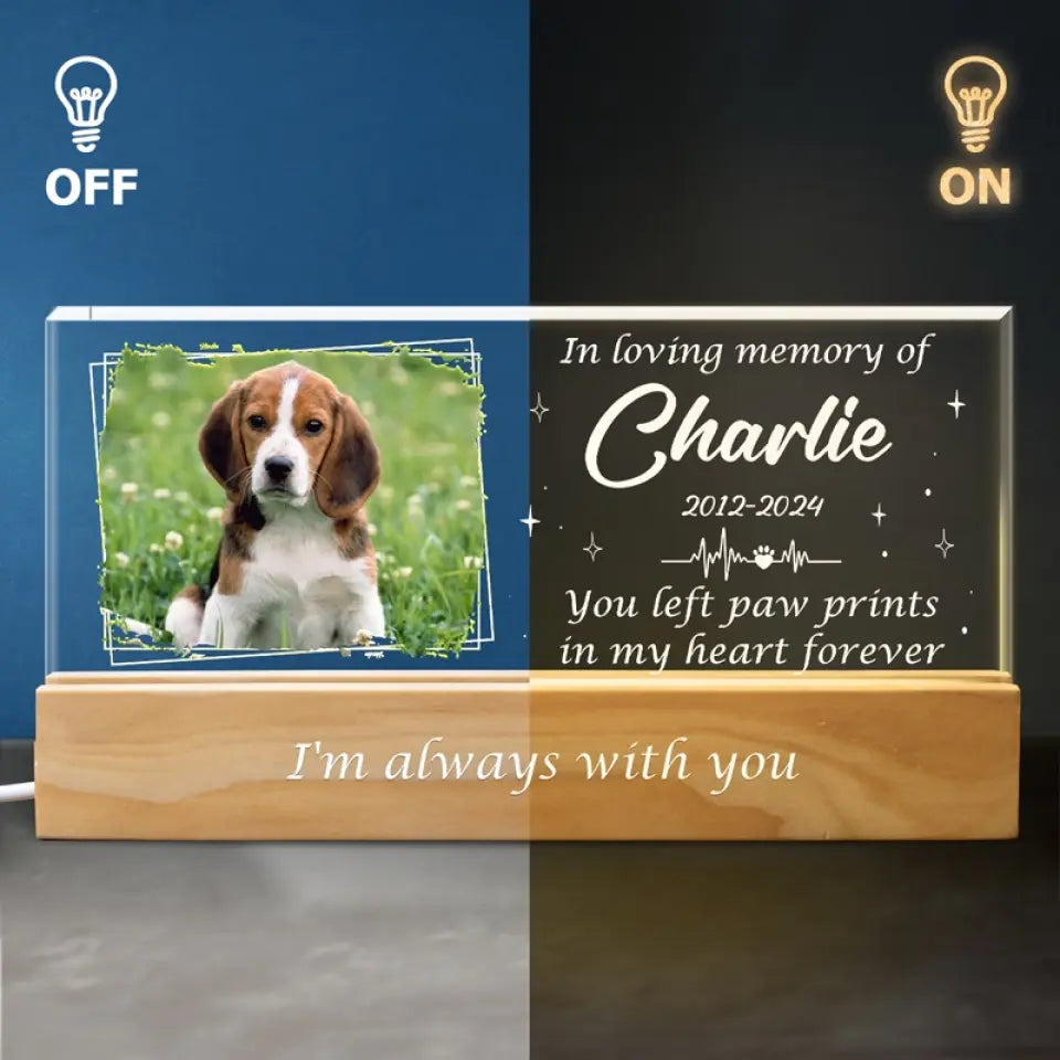 Photo personnalisée que vous avez laissée dans mon cœur pour toujours - Lettres acryliques personnalisées 3D LED veilleuse - Cadeau de condoléances pour les propriétaires d'animaux et les amoureux des animaux