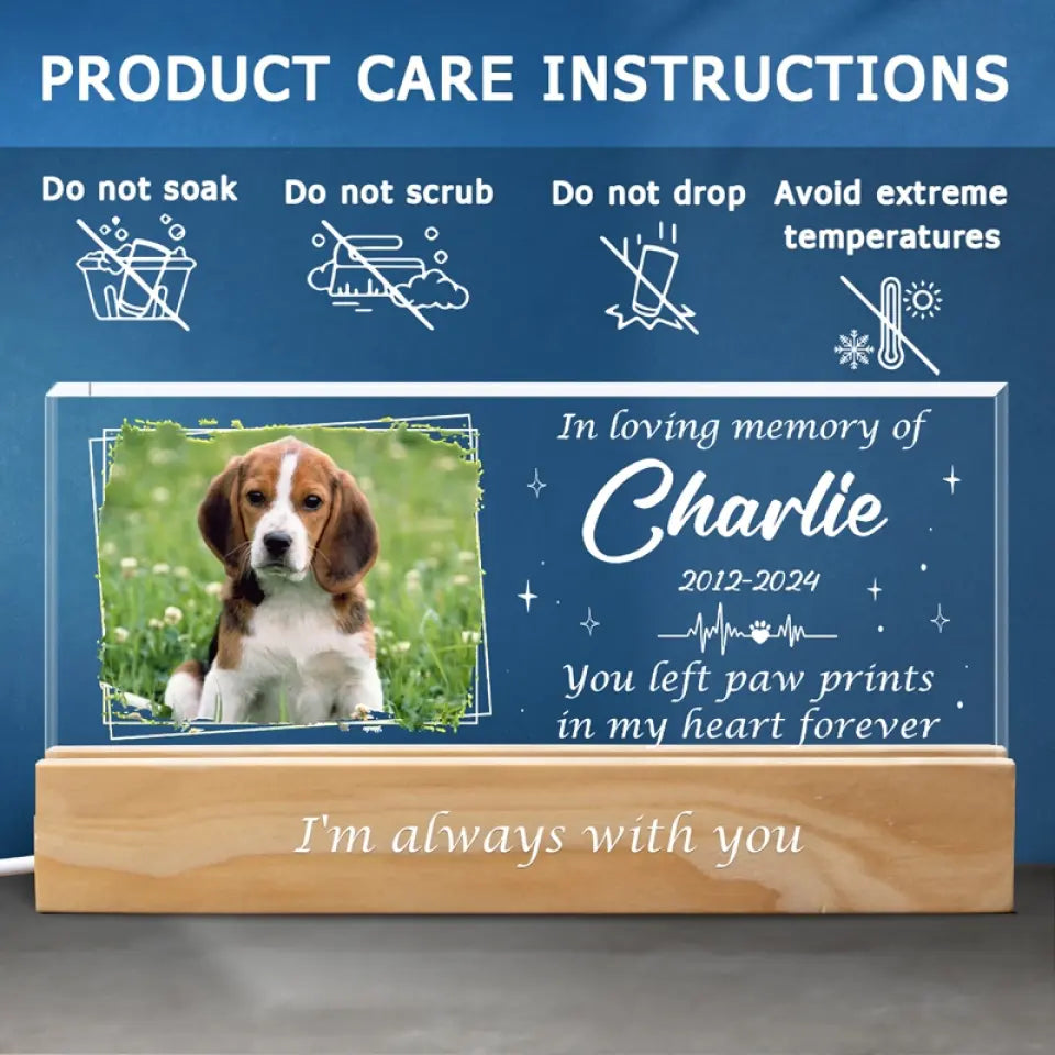 Photo personnalisée que vous avez laissée dans mon cœur pour toujours - Lettres acryliques personnalisées 3D LED veilleuse - Cadeau de condoléances pour les propriétaires d'animaux et les amoureux des animaux
