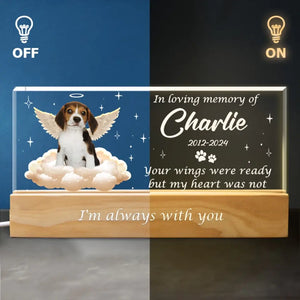 Photo personnalisée « Vos ailes étaient prêtes » – Lettres acryliques personnalisées commémoratives, veilleuse LED 3D – Cadeau de condoléances pour les propriétaires et les amoureux des animaux