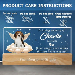 Photo personnalisée « Vos ailes étaient prêtes » – Lettres acryliques personnalisées commémoratives, veilleuse LED 3D – Cadeau de condoléances pour les propriétaires et les amoureux des animaux