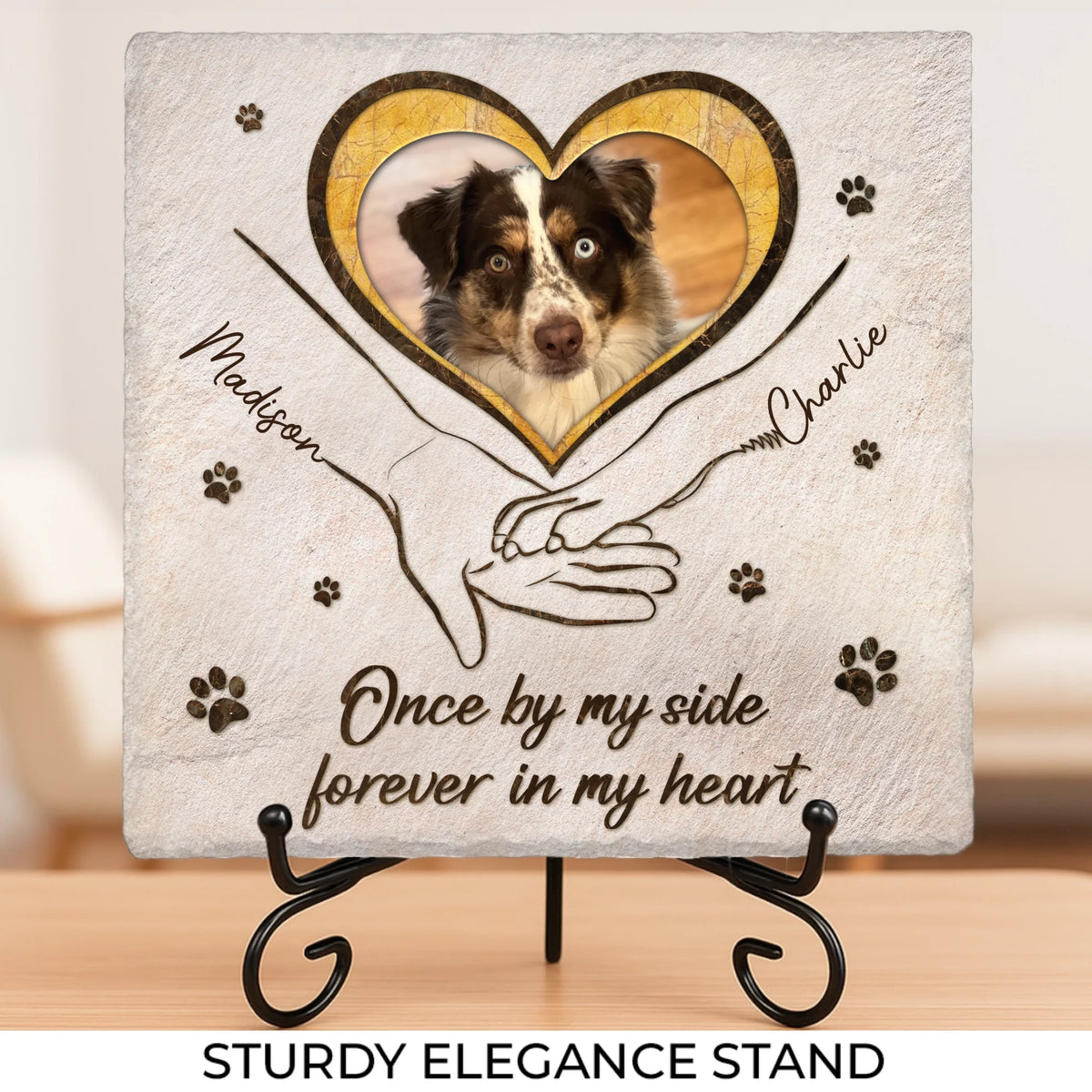 Preview-TOP