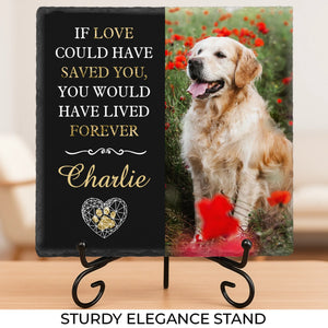 Photo personnalisée Si l'amour avait pu vous sauver - Pierre commémorative personnalisée - Nouveauté, cadeau de condoléances pour les propriétaires d'animaux, amoureux des animaux AMZ