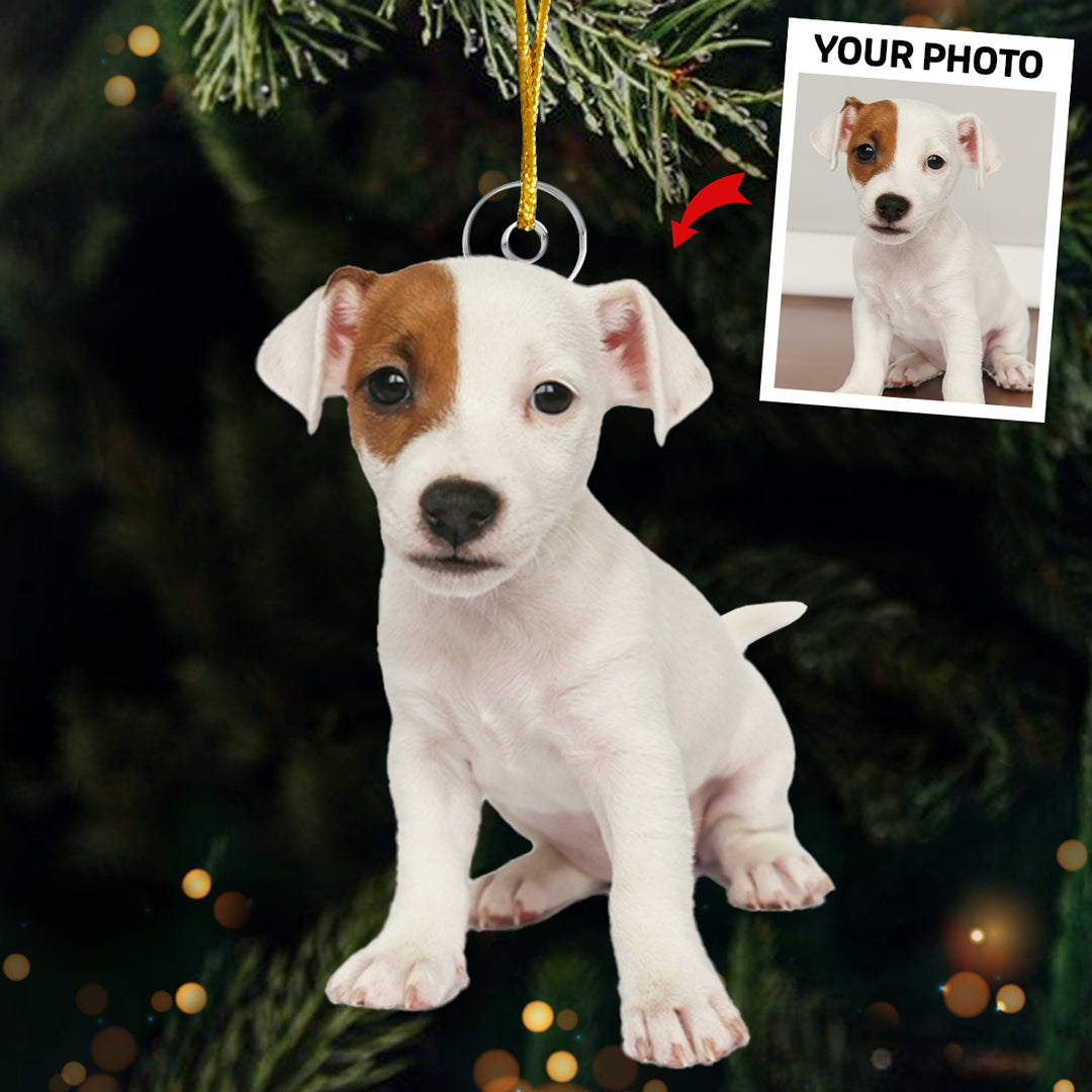 Photo personnalisée de carlins et de bisous pour Noël - Décoration personnalisée pour chien et chat - Acrylique en forme personnalisée - Cadeau de Noël pour propriétaires et amoureux des animaux