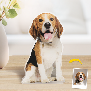 Photo personnalisée « Je serai toujours avec toi » - Chien et chat personnalisés avec tête secouée - Téléchargez une photo cadeau pour les propriétaires d'animaux et les amoureux des animaux