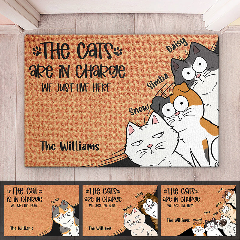 Le chat est aux commandes, nous vivons simplement ici - Tapis décoratif personnalisé pour chat - Cadeau pour les propriétaires d'animaux et les amoureux des animaux