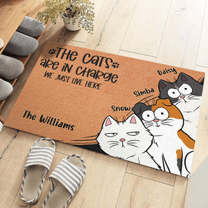 Le chat est aux commandes, nous vivons simplement ici - Tapis décoratif personnalisé pour chat - Cadeau pour les propriétaires d'animaux et les amoureux des animaux