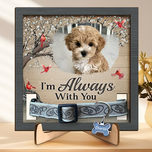 Photo personnalisée « Tu es toujours dans mes pensées » – Plaque commémorative personnalisée pour perte d'animal de compagnie, cadre avec support – Cadeau de condoléances, cadeau pour propriétaires d'animaux, amoureux des animaux