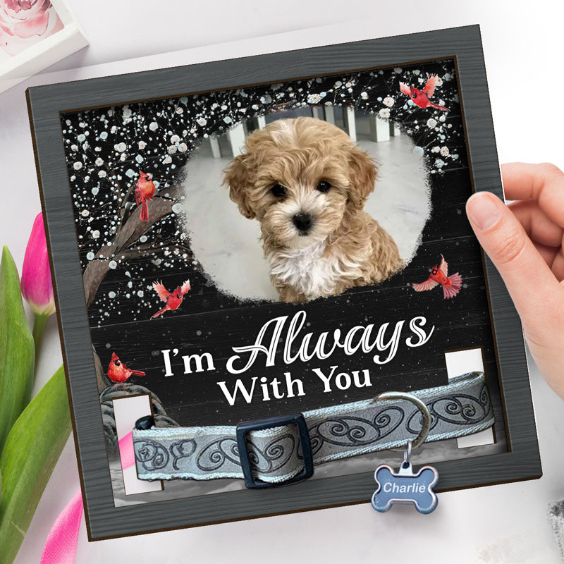 Photo personnalisée « Tu es toujours dans mes pensées » – Plaque commémorative personnalisée pour perte d'animal de compagnie, cadre avec support – Cadeau de condoléances, cadeau pour propriétaires d'animaux, amoureux des animaux