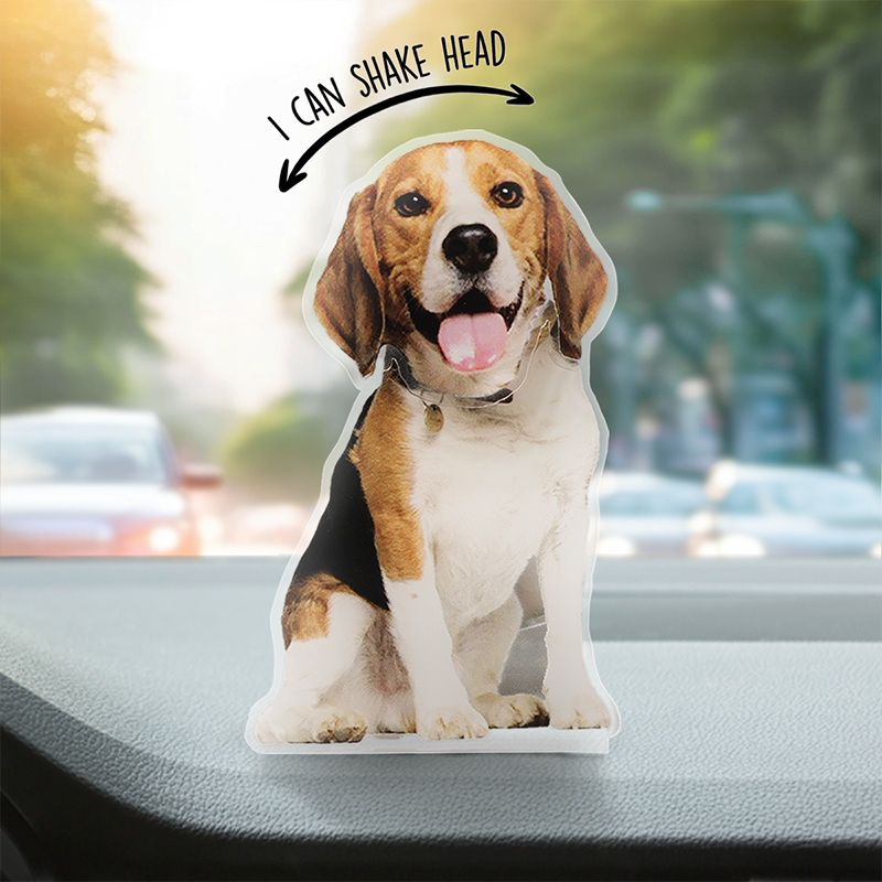 Photo personnalisée « Je serai toujours avec toi » - Chien et chat personnalisés avec tête secouée - Téléchargez une photo cadeau pour les propriétaires d'animaux et les amoureux des animaux