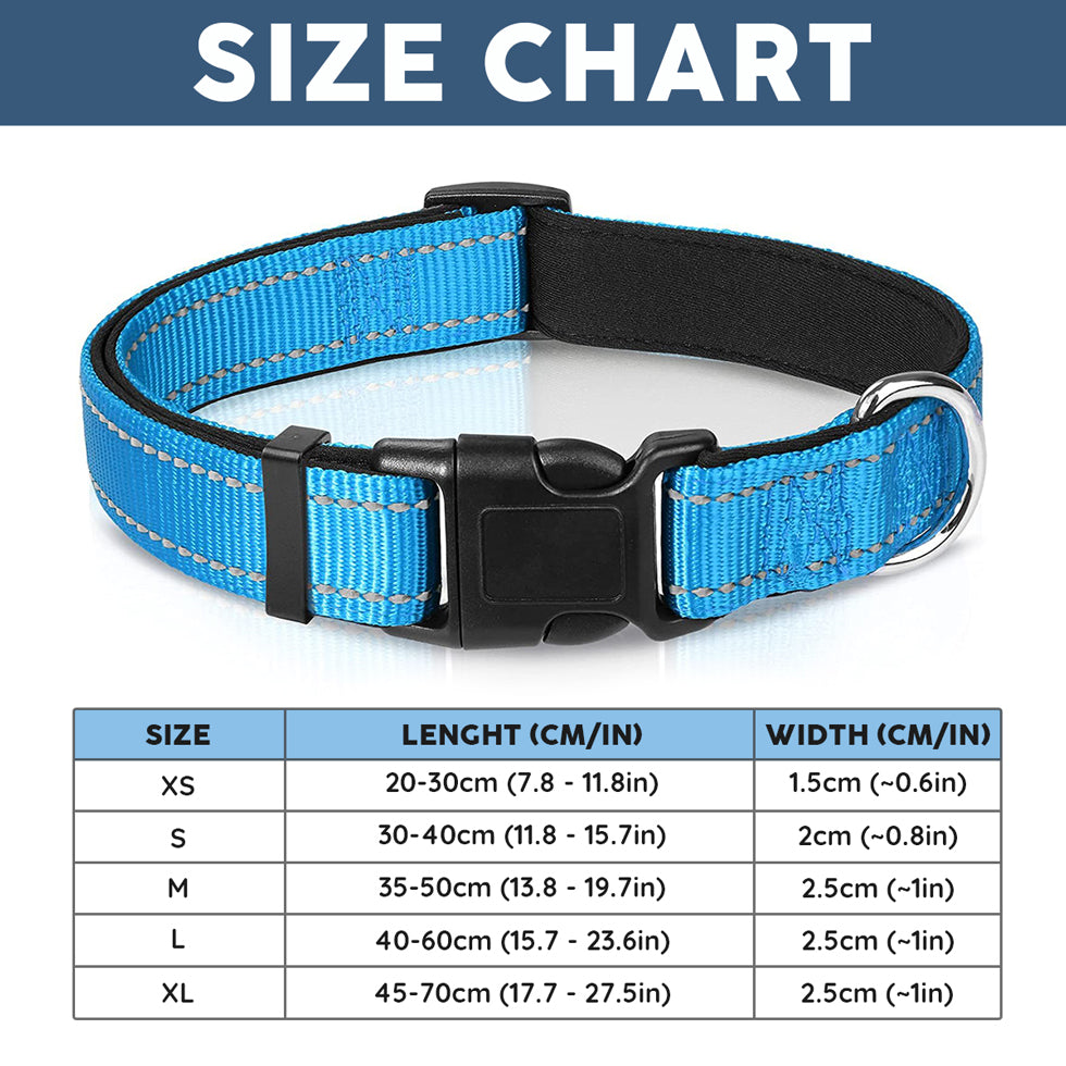 Collier pour chien et chat - Vente incitative