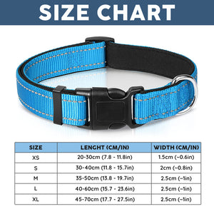 Collier pour chien et chat - Vente incitative