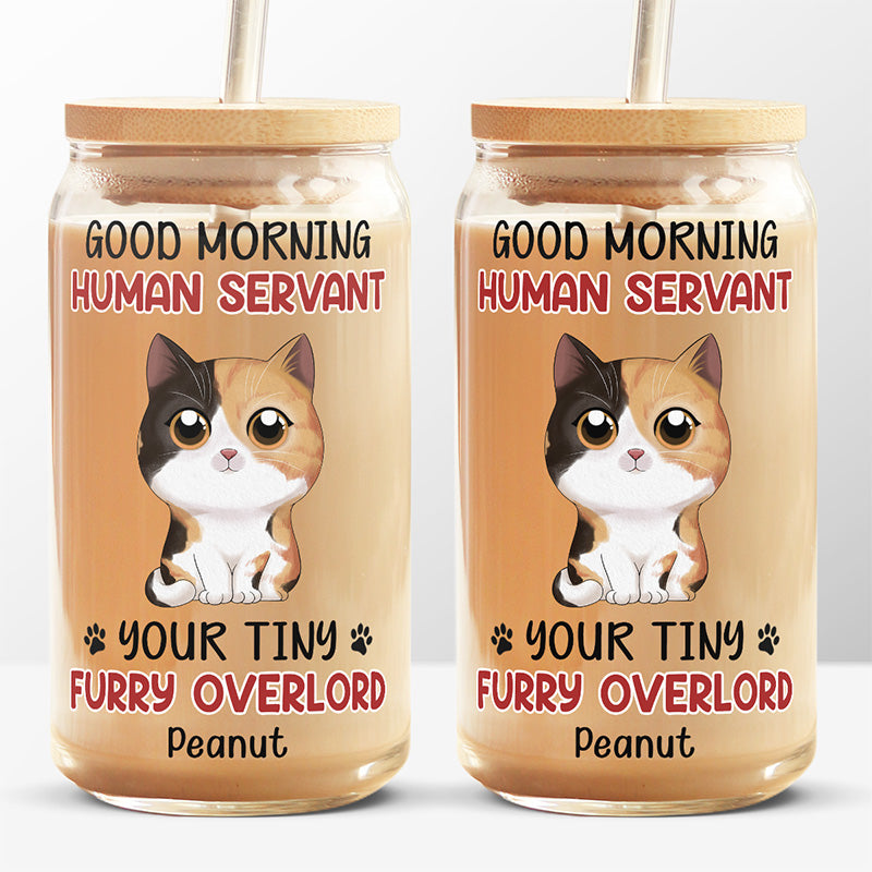 Tasse en verre personnalisée « Bonjour, serviteur humain » - Chat, tasse à café glacé - Cadeau pour les propriétaires d'animaux et les amoureux des animaux