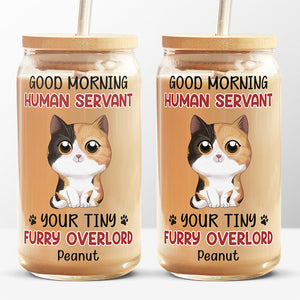 Tasse en verre personnalisée « Bonjour, serviteur humain » - Chat, tasse à café glacé - Cadeau pour les propriétaires d'animaux et les amoureux des animaux