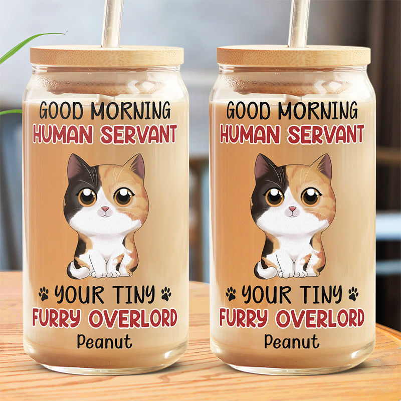 Tasse en verre personnalisée « Bonjour, serviteur humain » - Chat, tasse à café glacé - Cadeau pour les propriétaires d'animaux et les amoureux des animaux