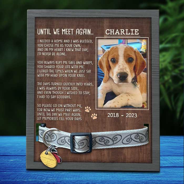 Jusqu'à notre prochaine rencontre - Plaque commémorative personnalisée pour la perte d'un animal de compagnie, cadre pour collier - Télécharger une image, cadeau de condoléances, cadeau pour les propriétaires d'animaux et les amoureux des animaux