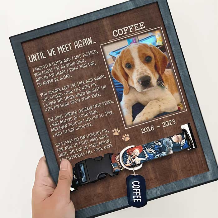 Jusqu'à notre prochaine rencontre - Plaque commémorative personnalisée pour la perte d'un animal de compagnie, cadre pour collier - Télécharger une image, cadeau de condoléances, cadeau pour les propriétaires d'animaux et les amoureux des animaux
