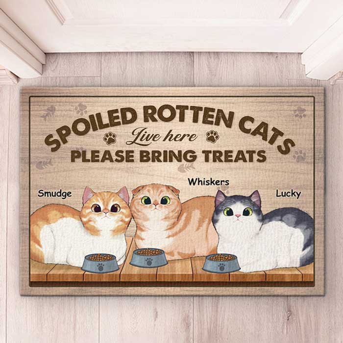 Attention, les chats gâtés vivent ici ! Tapis décoratif personnalisé pour chat ! Cadeau pour propriétaires et amoureux des animaux