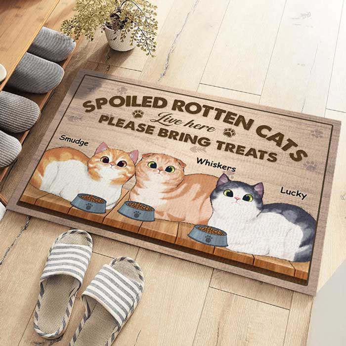 Attention, les chats gâtés vivent ici ! Tapis décoratif personnalisé pour chat ! Cadeau pour propriétaires et amoureux des animaux