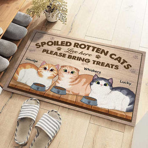 Attention, les chats gâtés vivent ici ! Tapis décoratif personnalisé pour chat ! Cadeau pour propriétaires et amoureux des animaux