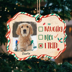 Vilain, gentil, j'ai essayé - Décoration de Noël personnalisée en bois avec photo en forme de Benelux - Télécharger une image, cadeau pour les amoureux des animaux, cadeau de Noël