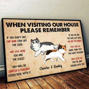 When Visiting My House Cat Walking - Personalized Horizontal Poster.