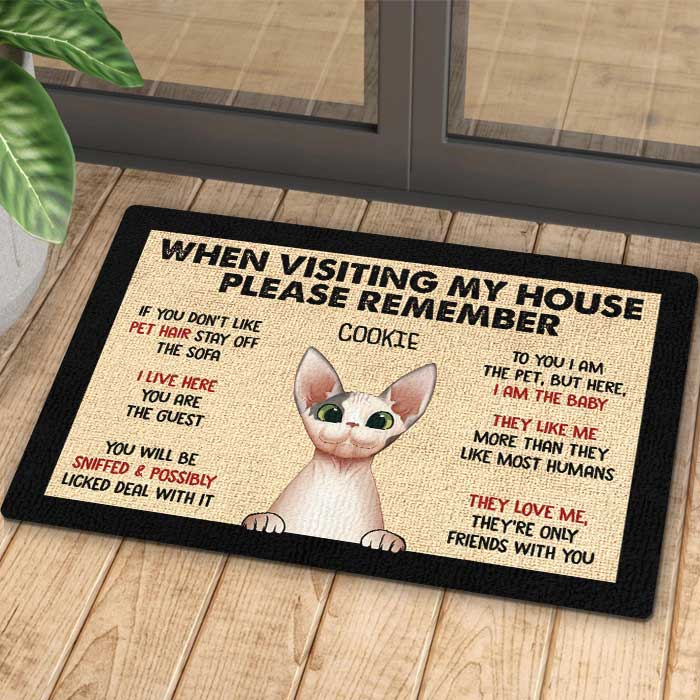 Pets' Rules When Visiting Our House - Cats And Dogs Personalized Decorative Mat.