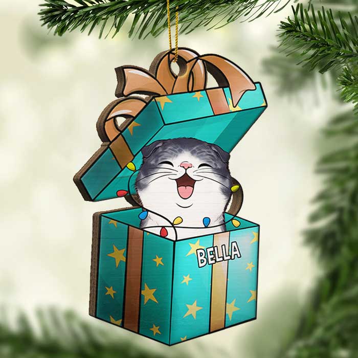 Christmas Gift Box - Dogs And Cats - Personalized Shaped Ornament.