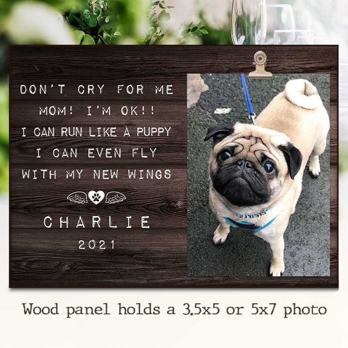 Don't Cry For Me - I Can Fly With My New Wings - Personalized Photo Frame.
