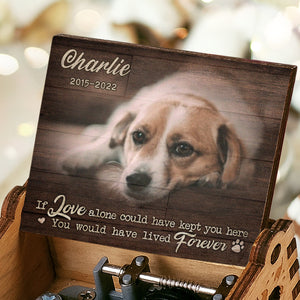 Tu aurais vécu éternellement ! Boîte à musique personnalisée ! Télécharger une image, cadeau pour les amoureux des animaux