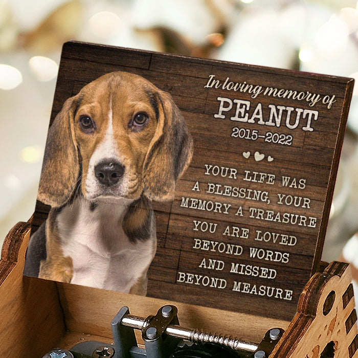 Votre vie a été une bénédiction – Boîte à musique personnalisée – Télécharger une image, cadeau pour les amoureux des animaux