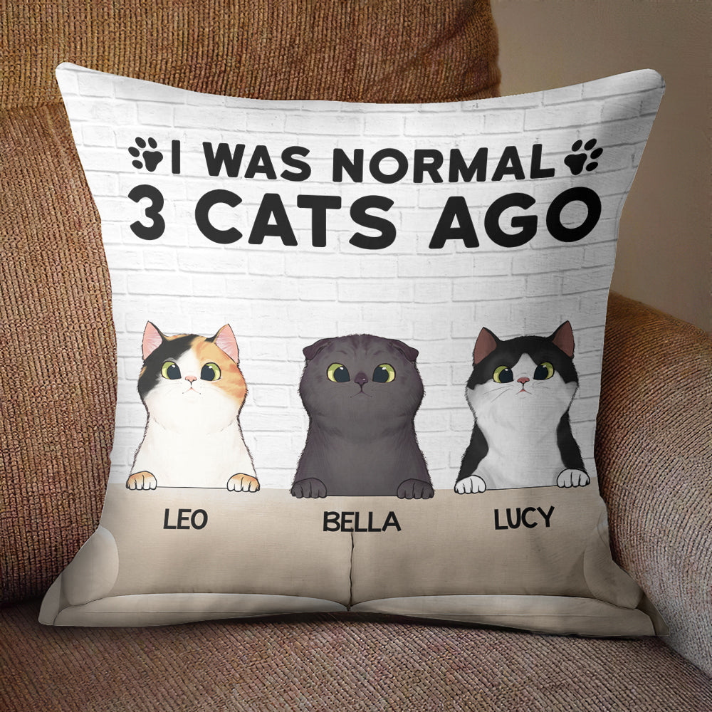 I Was Normal With My Cats - Funny Personalized Cat Pillow (Insert Included).