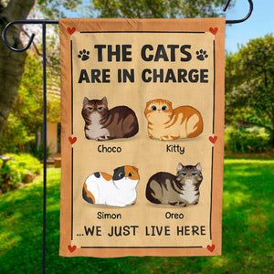 Les chats sont aux commandes ici - Drapeau personnalisé pour chat - Cadeau pour les amoureux des animaux, les propriétaires d'animaux