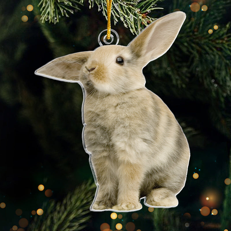 Photo personnalisée d'un joli lapin - Ornement personnalisé en acrylique - Forme personnalisée - Cadeau de Noël pour les propriétaires et les amoureux des animaux