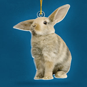 Photo personnalisée d'un joli lapin - Ornement personnalisé en acrylique - Forme personnalisée - Cadeau de Noël pour les propriétaires et les amoureux des animaux