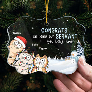 Félicitations pour votre service ! Ornement personnalisé en forme de chat en acrylique, forme Benelux. Cadeau de Noël pour les propriétaires et les amoureux des animaux.